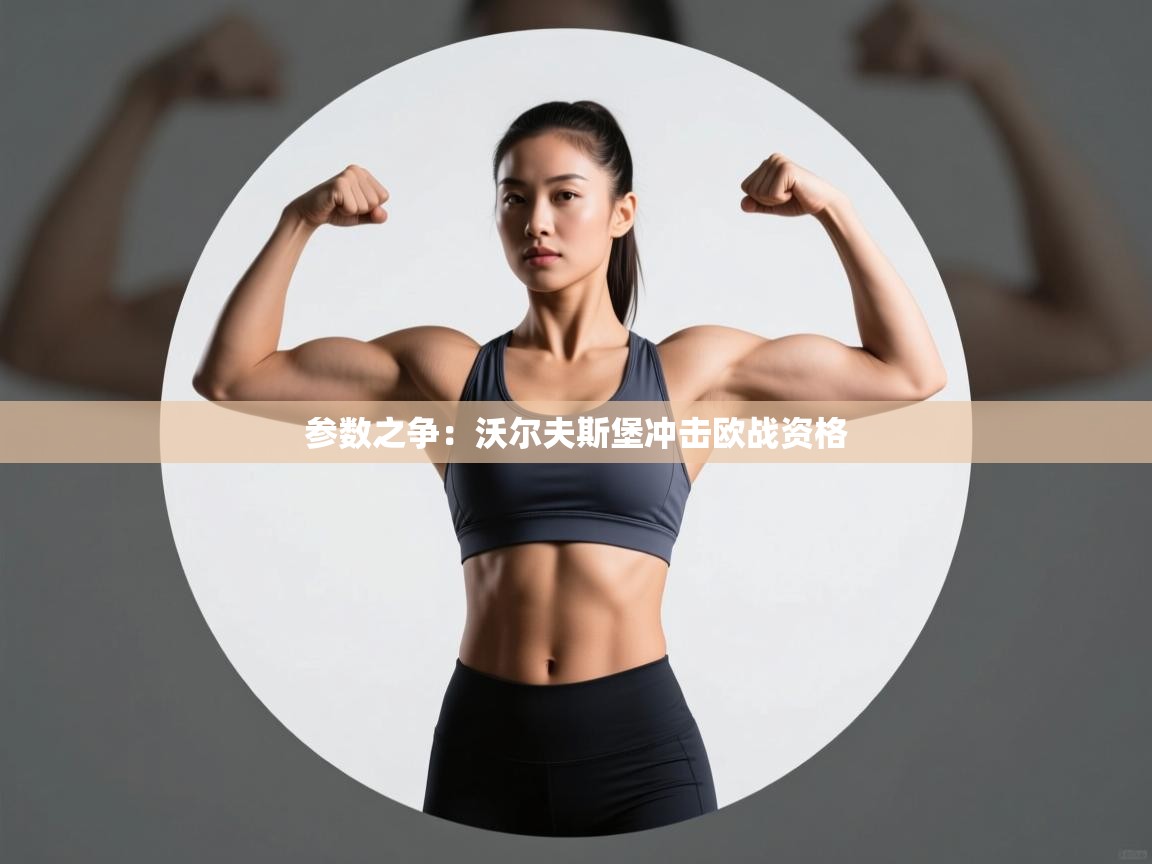 参数之争：沃尔夫斯堡冲击欧战资格  第2张