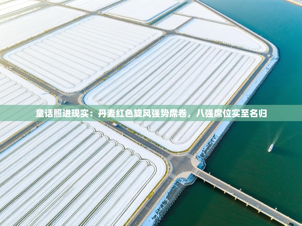 童话照进现实:丹麦红色旋风强势席卷,八强席位实至名归 第2张