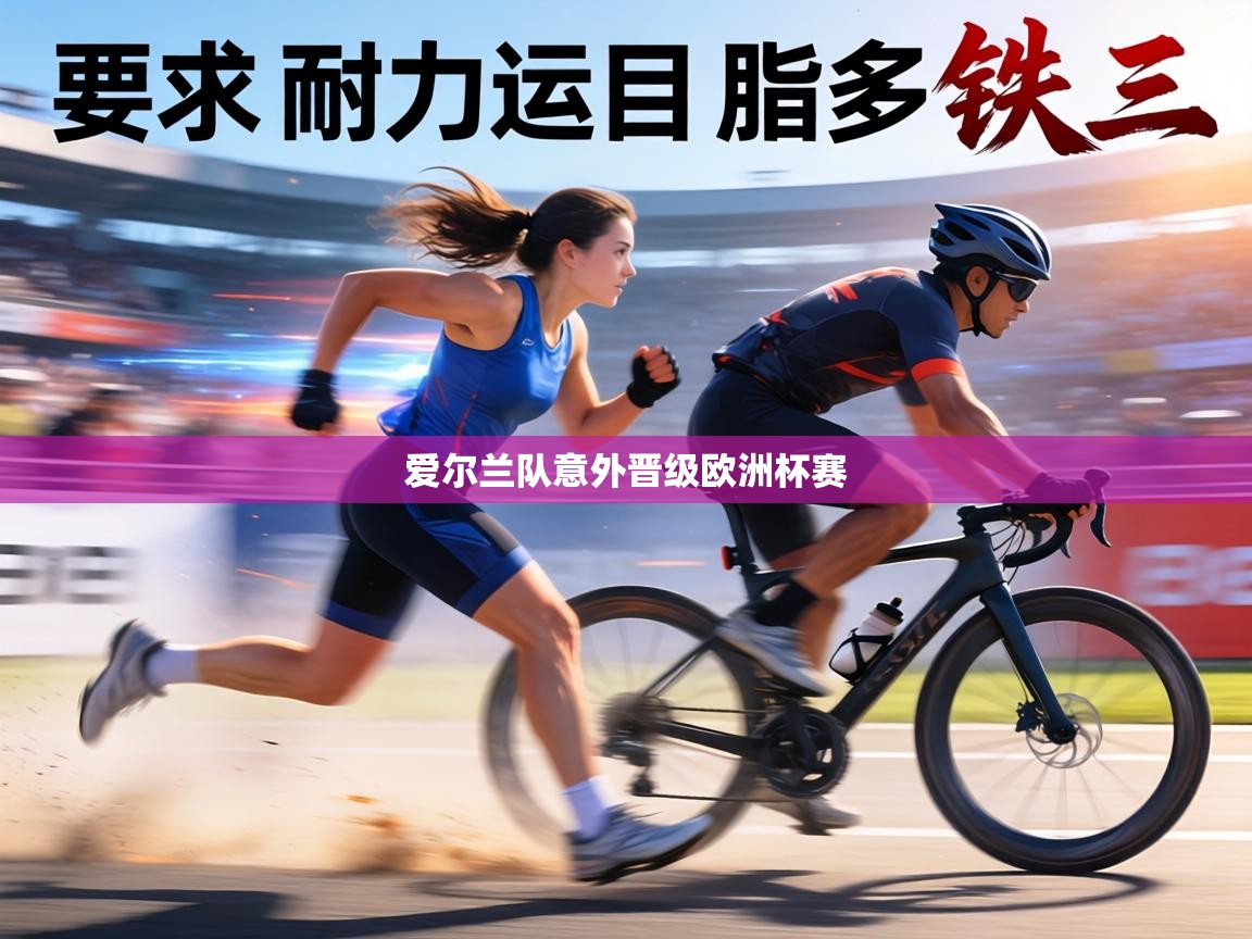 爱尔兰队意外晋级欧洲杯赛  第2张